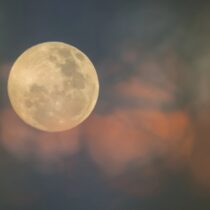 Essential Oils For The Full Moon