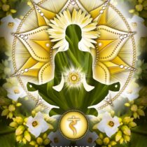 Manipura | Yellow Chakra and Willpower Empowerment