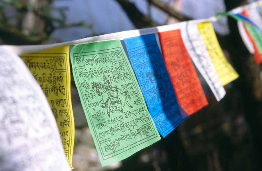 How I Experience Tibetan Usui Reiki - Starchaser-Healing Arts