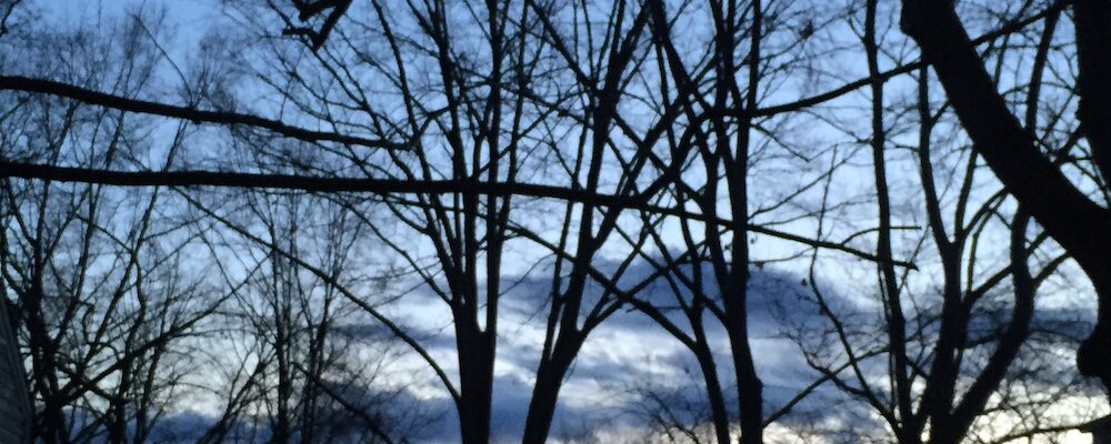 Bare winter trees for ways to promote spiritual growth during the winter