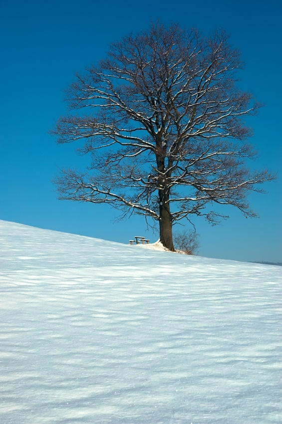 Treat Your Winter Woes Naturally