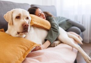 Woman hugging dog for animal connection